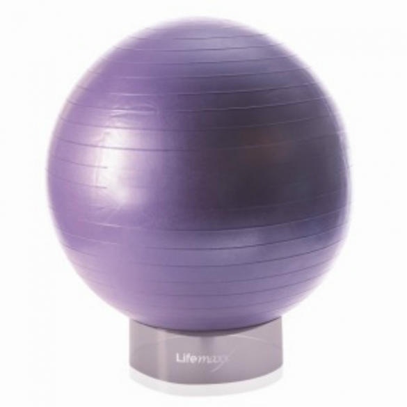 Lifemaxx Gymbal 55 cm paars LMX 1100.55 LMX 1100.55paars
